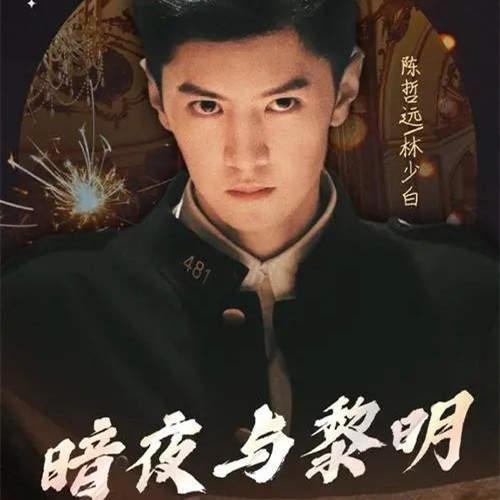 电视剧暗,揭秘暗黑势力背后的秘密