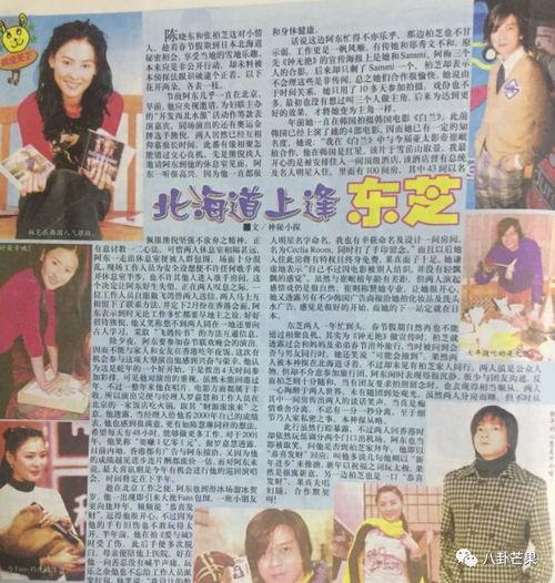 娱乐圈吃瓜小说免费阅读,瓜田里的甜蜜陷阱